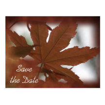 Japanese Maple Leaf Autumn Save the Date Postcard