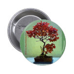 Japanese Maple Pinback Button