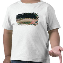 Japanese mirror painting showing a girl seated t-shirts