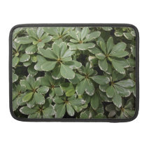 Japanese Mock Orange MacBook Sleeve MacBook Pro Sleeves