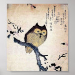 Japanese Owl Print