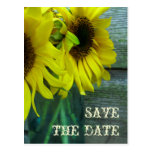 Jar Of Sunflowers Barnwood Fall Save The Date Post Cards