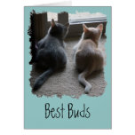 Jasper & Kaylee Kitten "Best Buds" Card