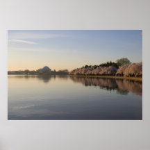 Jefferson Memorial Tidal Basin Poster