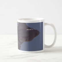 Jets Fighters Planes Coffee Mugs