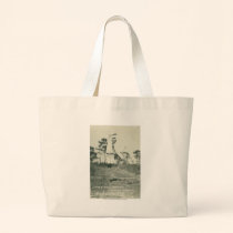 Jimmie Richardson jumping spoke. bags