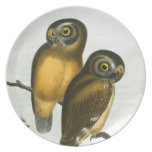 John Cassin California Owl Party Plate