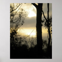 Jolla Poster