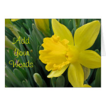 Jonquil-any occasion-customise greeting card