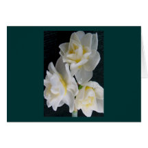 Jonquil Flower - Ecclesiastes 3:1 Card