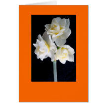 Jonquil Flower - Ecclesiastes 3:1 Card