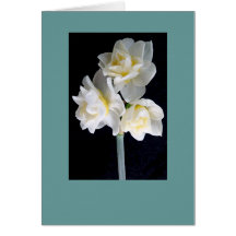 Jonquil Flower - Ecclesiastes 3:1 Cards