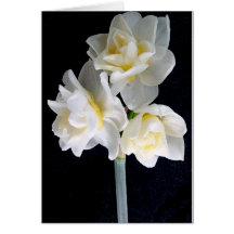 Jonquil Flower - Ecclesiastes 3:1 Greeting Card