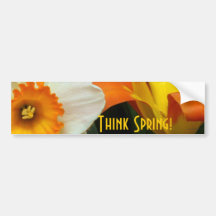 Jonquil Tulips Bumper Stickers