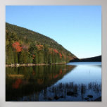 Jordan's Pond Still Life Print