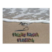 Jose Gaspar Treasure Co Postcard 2