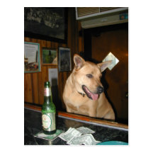 Josh@Johns Postcards