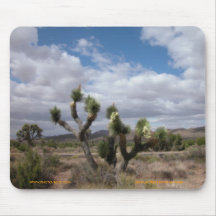 Joshua Tree National Park Mouse Pad