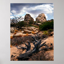 Joshua Tree National Park Print