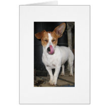 Joy Licking Her Chops Greeting Cards