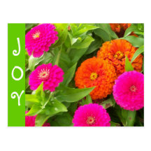 Joy of Summer Postcard