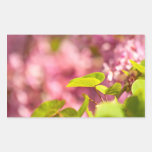 Judas Tree Flower And Leaves Rectangle Stickers