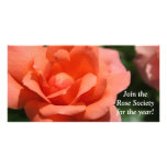 Juicy Orange Rose Personalised Photo Card