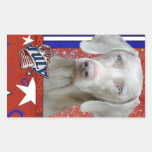 July 4th Firecracker - Weimeraner - Blue Eyes Rectangle Sticker