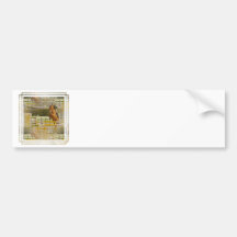 Jumper Horse Show Bumper Stickers