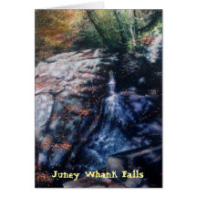 Juney Whank Falls Card