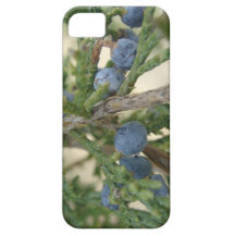 Juniper Berry iPhone 5 Case-Mate