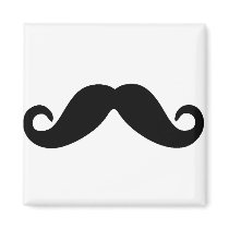 just a moustache magnet