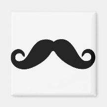just a moustache magnet