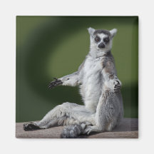 Just Chill Magnet