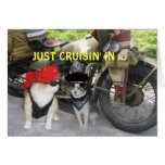 Just Cruisin' In Funny Birthday Greeting Cards