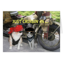 Just Cruisin' In Funny Birthday Greeting Cards