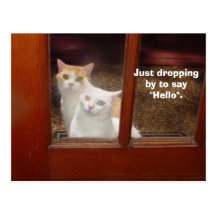 Just Dropping By Postcard