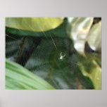 Just Hangin' Around Poster