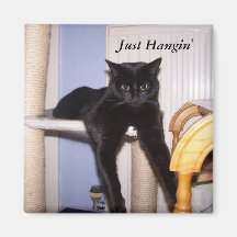 Just Hangin' Magnets
