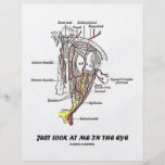 Just Look At Me In The Eye (Anatomical Humour) Flyers