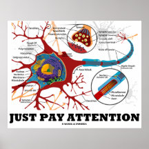 Just Pay Attention (Neuron / Synapse Anatomical) Print