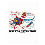 Just Pay Attention (Neuron / Synapse) Post Cards