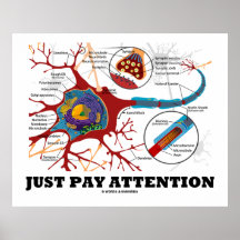 Just Pay Attention (Neuron / Synapse) Poster