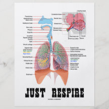 Just Respire Full Colour Flyer