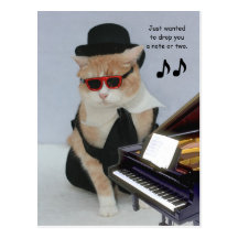 Just Wanted to Drop You a Note Post Card