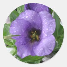 Just watered round stickers