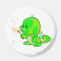 Kacheek Glowing magnets
