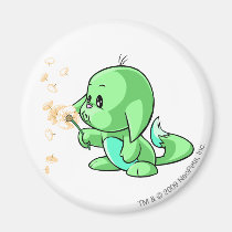 Kacheek Green magnets