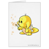 Kacheek Yellow cards