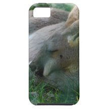 kangaroo-122.jpg